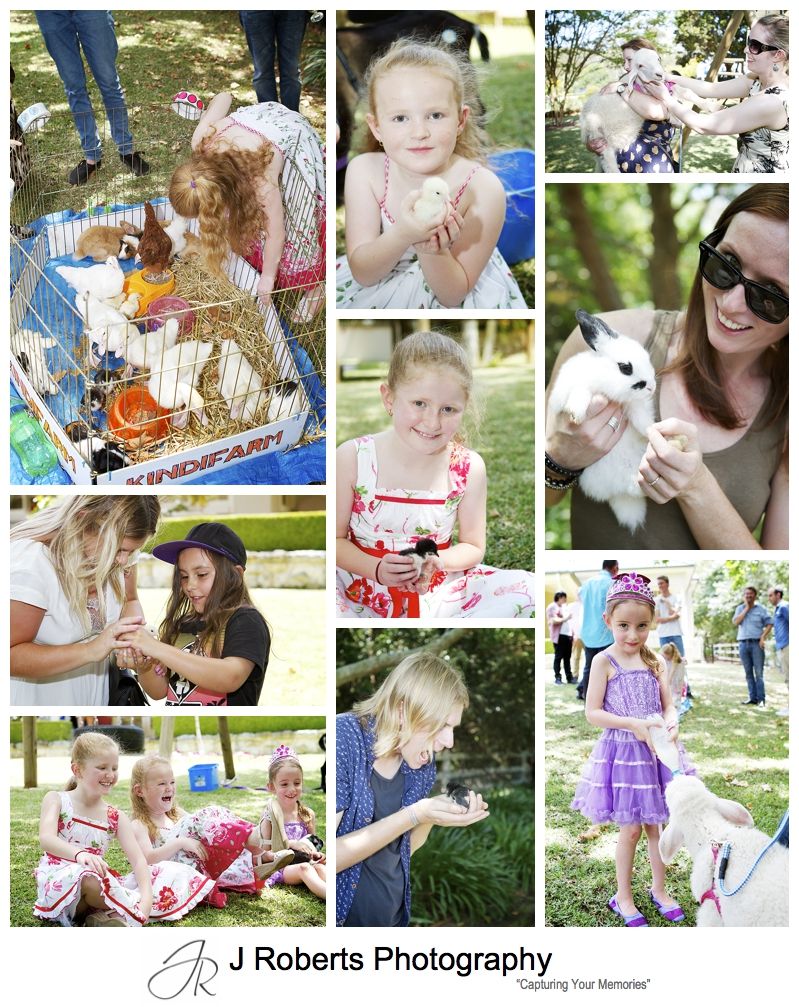 Kindi farm at childrens party - sydney party photography